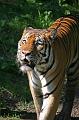 Zoo Schmiding 020